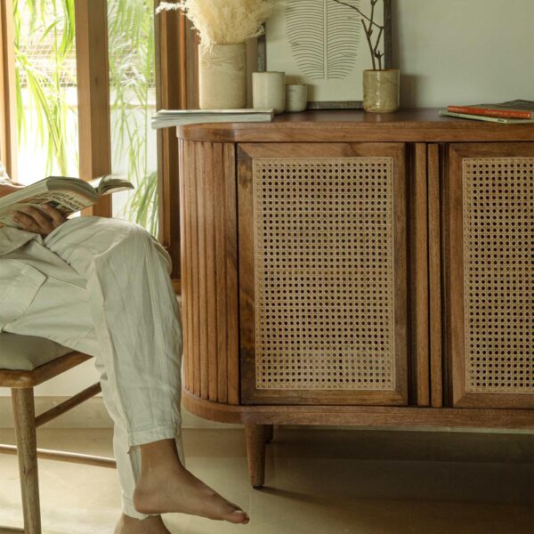 Rattan Village two door cabinet - Image 2