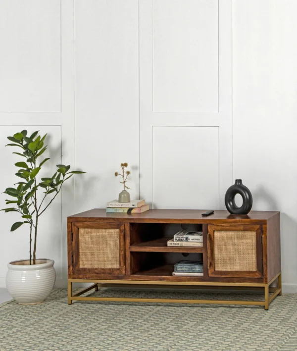 Avdesh TV Stand - Image 3