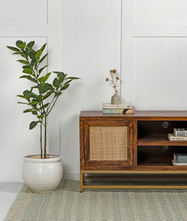 Avdesh TV Stand - Image 2