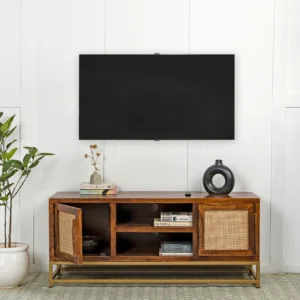 Avdesh TV Stand